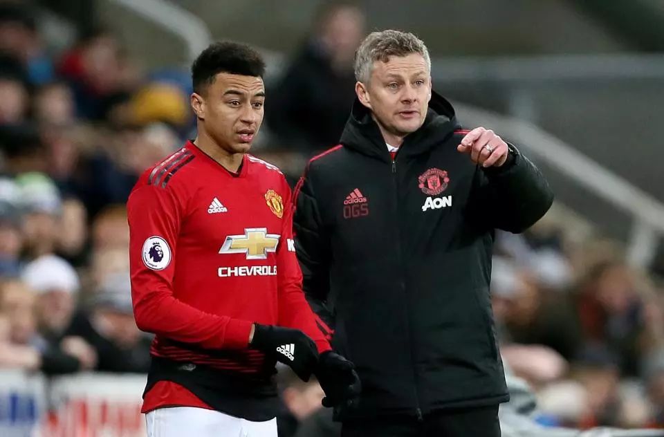 的合作机会 的合作机会